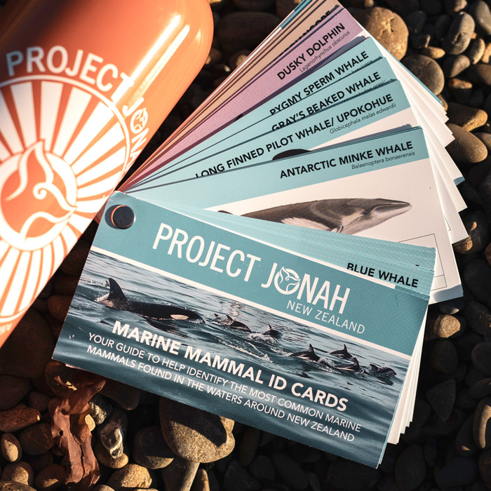 Whale ID Cards - Project Jonah